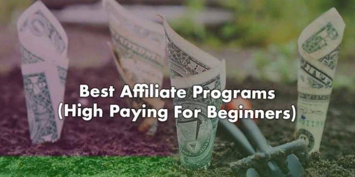 Best High Paying Affiliate Programs 2020 for Beginners
