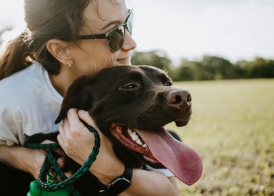 A dog walker holding a dog - Paypant.com
