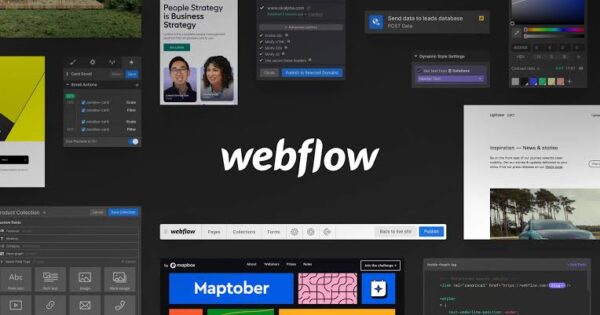 Webflow website builder www.paypant.com