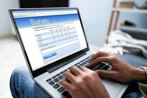 An internet user taking a survey