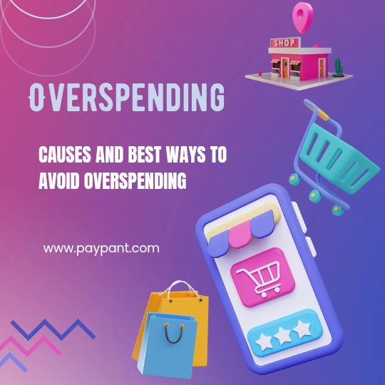 11 Causes of Overspending and How to Avoid it    www.paypant.com