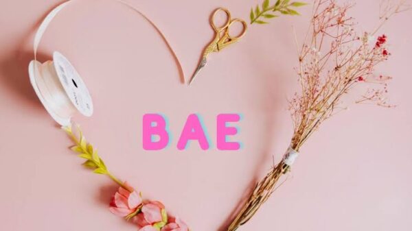 Plan a BAE day for your budgeting   www.paypant.com