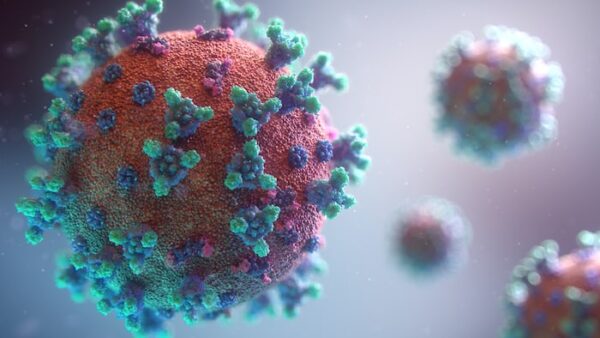 Coronavirus www.paypant.com