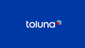 Toluna survey site image description 