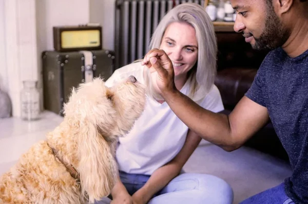 A family and their dog