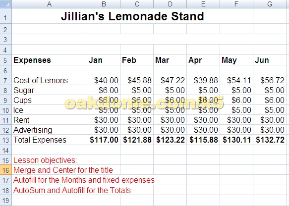 Jillian's Lemonade Stand