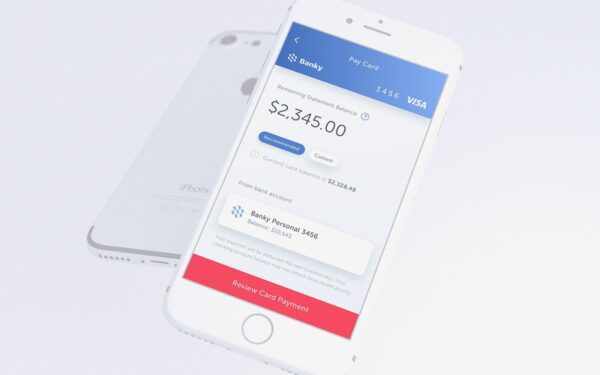 How Long Does it Take for Tally to Pay Off Credit Card?  www.paypant.com