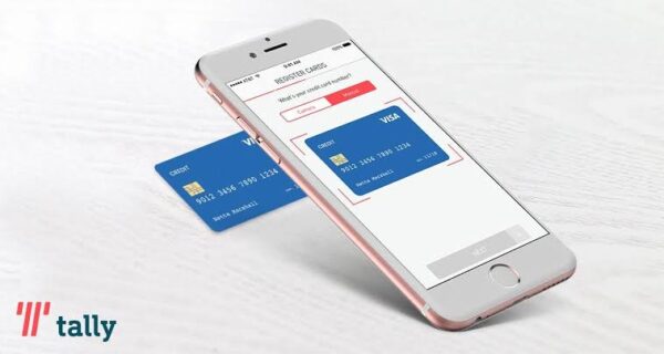 Will Using Tally Affect My Credit Score?  www.paypant.com