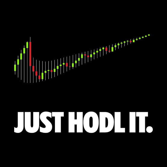 Buy and HODL to make quick money with crypto  www.paypant.com