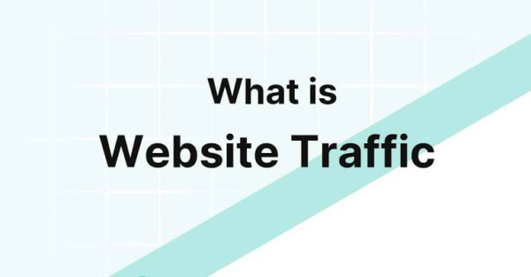 What is Web Traffic?   www.paypant.com