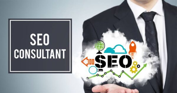 SEO Consultant online highest-paying jobs  www.paypant.com