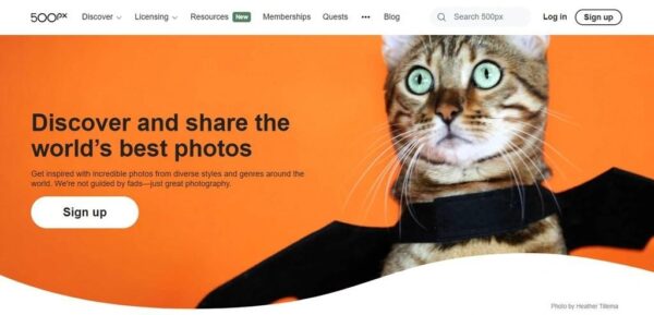 Sell Pictures Online with 500px
www.paypant.com
