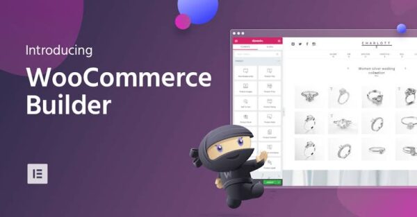 WooCommerce  best website builder www.paypant.com