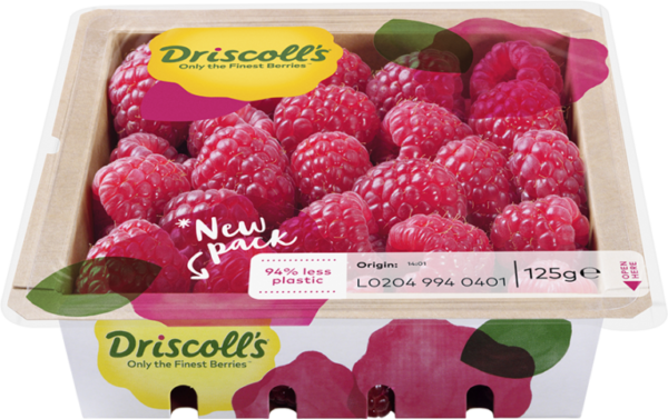 Driscoll Berry www.paypant.com