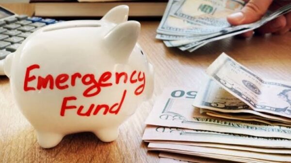 How to build an emergency fund  www.paypant.com