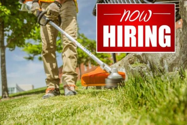 make money mowing lawns without a  Job
www.paypant.com
