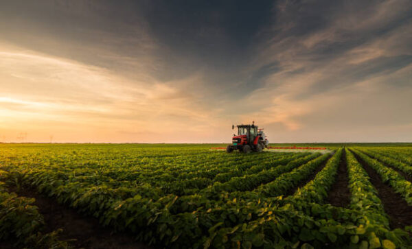 Tractor spraying pesticides on soybean field with sprayer at spring. 