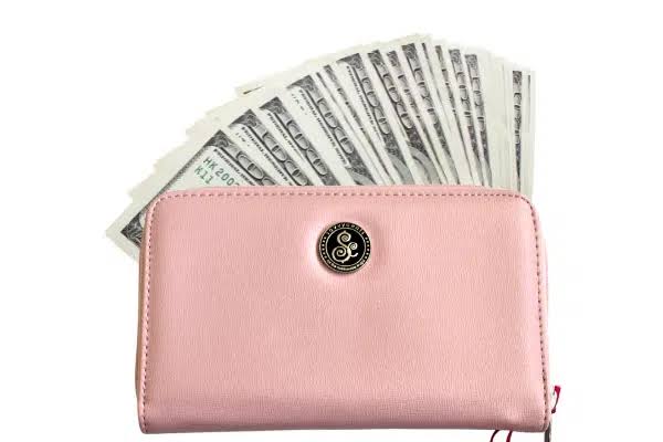 Savvycents wallets as one of the best Cash Envelope System Wallets (That Are Affordable & Stylish)
