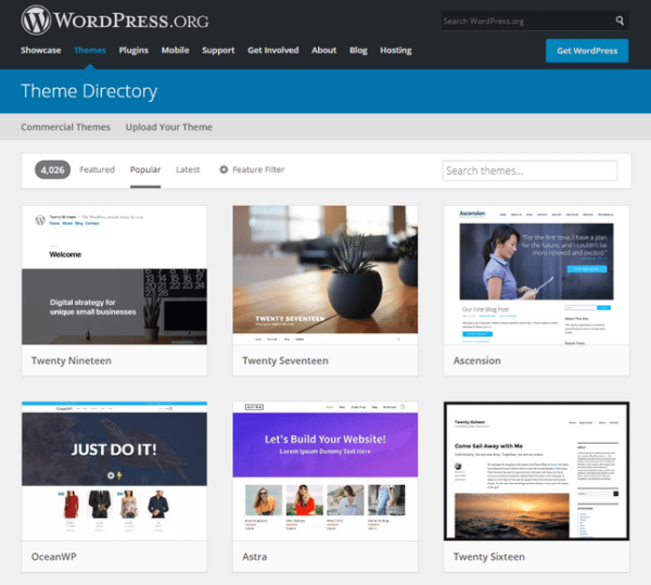 What is  WordPress
www.paypant.com
