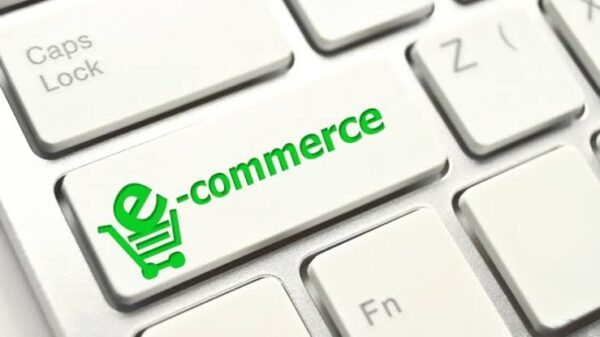 How to Start An Ecommerce Business in 9 Steps  www.paypant.com