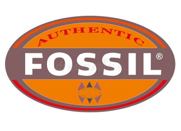 Fossils sites that go on sale every year www.paypant.com